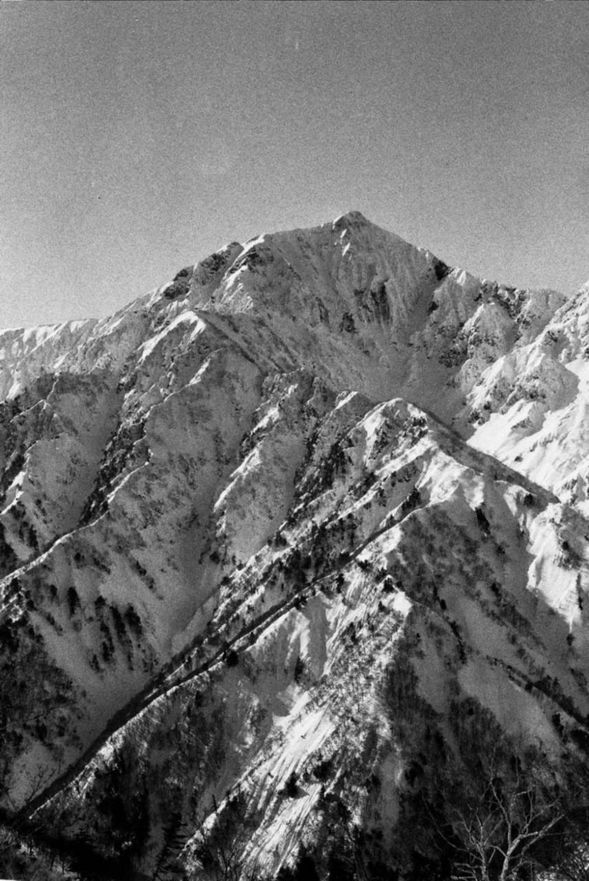 The Bohemians' Shelter Hostel Hakuba Exterior photo